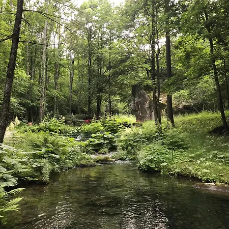 La Ceresina Apartament